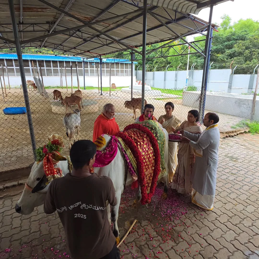 Jabardasth Rocking Rakesh Perform Cow Pooja