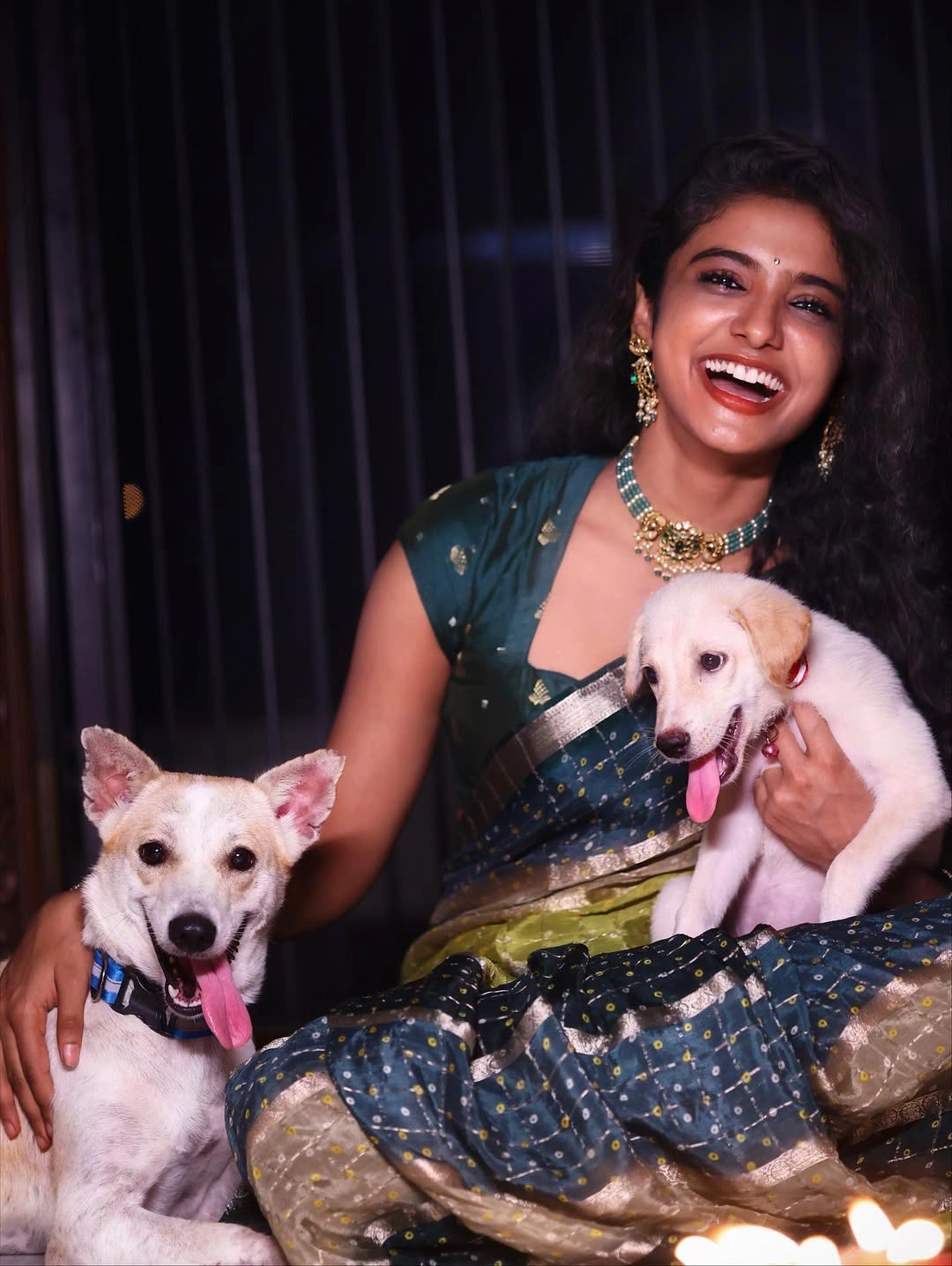 Roopa Koduvayur Shines in Saree on Diwali