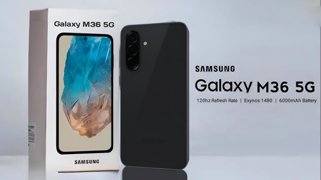 Samsung Galaxy M36 5G : బిగ్గెస్ట్ దీపావళి ఆఫర్.. ఈ శాంసంగ్ 5G ఫోన్పై కిర్రాక్ డిస్కౌంట్.. అమెజాన్లో జస్ట్ ఎంతంటే? Samsung Galaxy M36 5G : బిగ్గెస్ట్ దీపావళి ఆఫర్.. ఈ శాంసంగ్ 5G ఫోన్పై కిర్రాక్ డిస్కౌంట్.. అమెజాన్లో జస్ట్ ఎంతంటే?