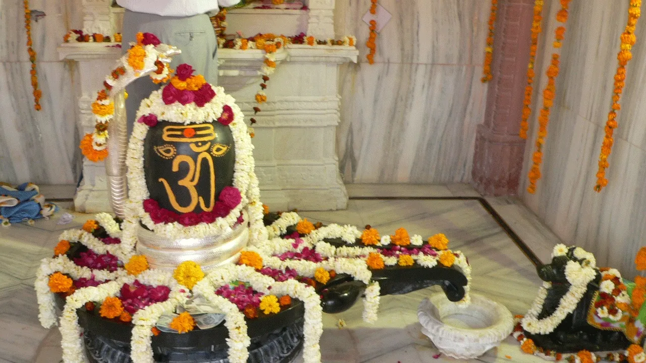 Shiva Lingam