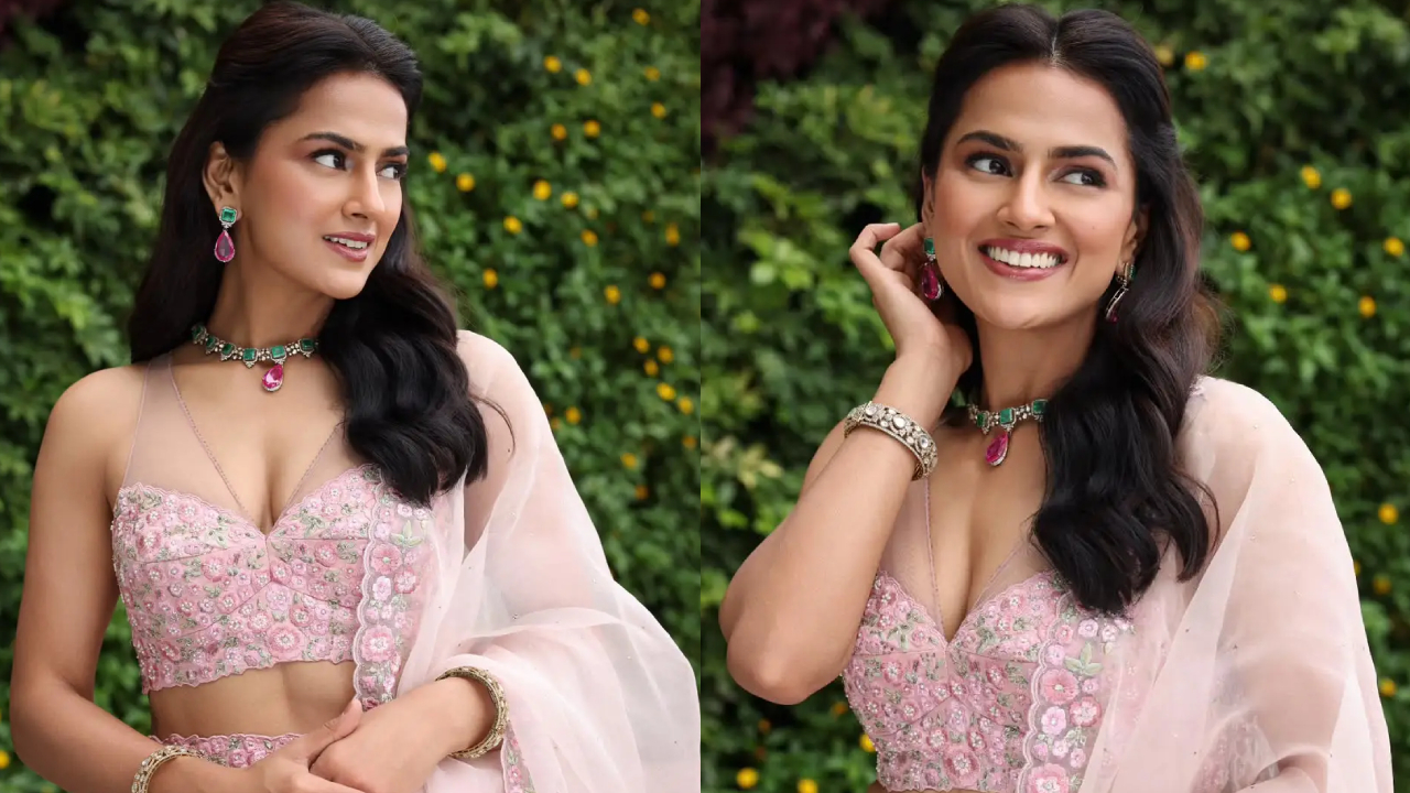 Shraddha Srinath: పింక్ డ్రెస్ లో కాశ్మీర్ యాపిల్ లా.. అందంతో కట్టిపడేస్తున్న శ్రద్ధా శ్రీనాథ్.. ఫోటోలు