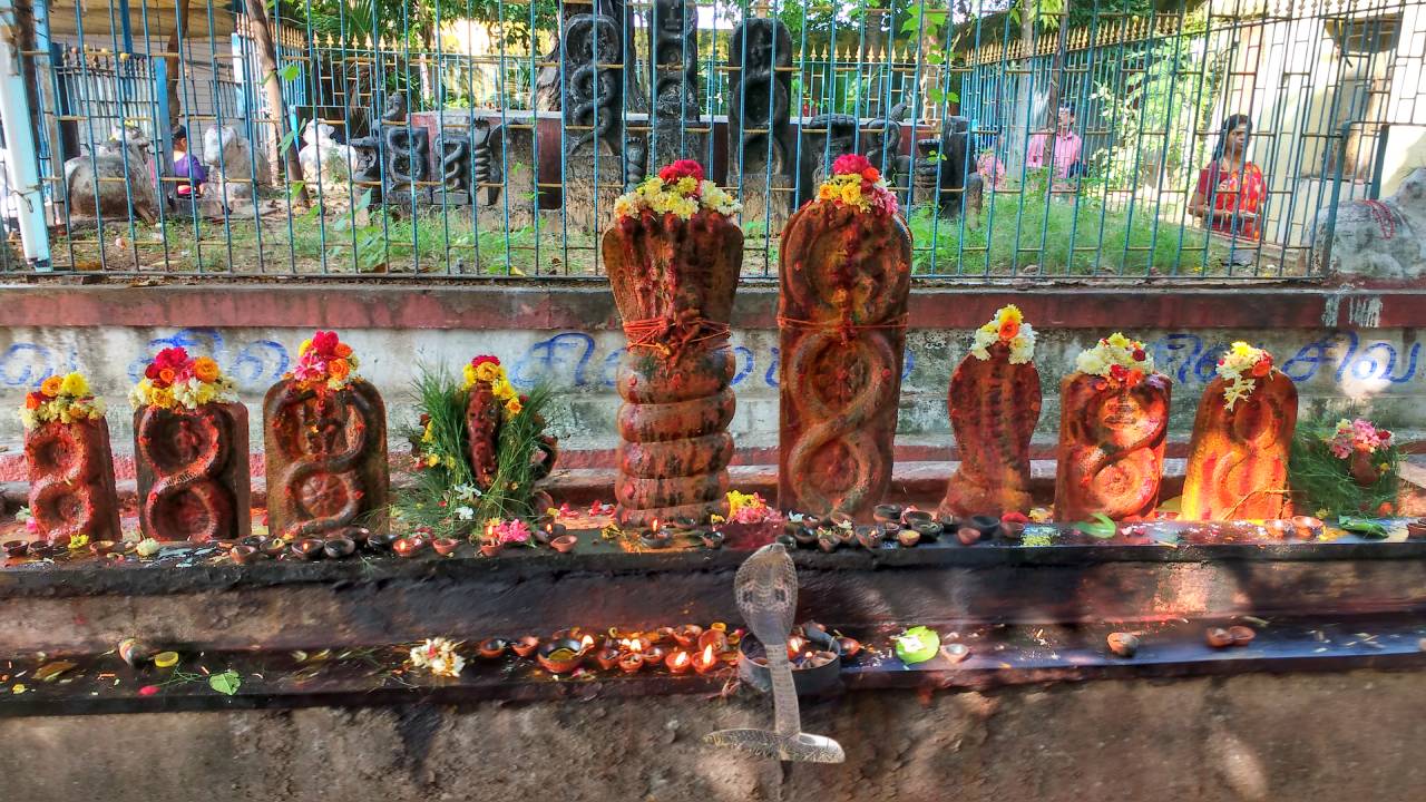 Nagula Chavithi: పుట్టలో పాలు ఎందుకు పోస్తారు? తరతరాల నాగదోషాల వల్ల మీరు పడుతున్న అష్టకష్టాలను ఇలా వదిలించుకోండి.. Nagula Chavithi: పుట్టలో పాలు ఎందుకు పోస్తారు? తరతరాల నాగదోషాల వల్ల మీరు పడుతున్న అష్టకష్టాలను ఇలా వదిలించుకోండి..