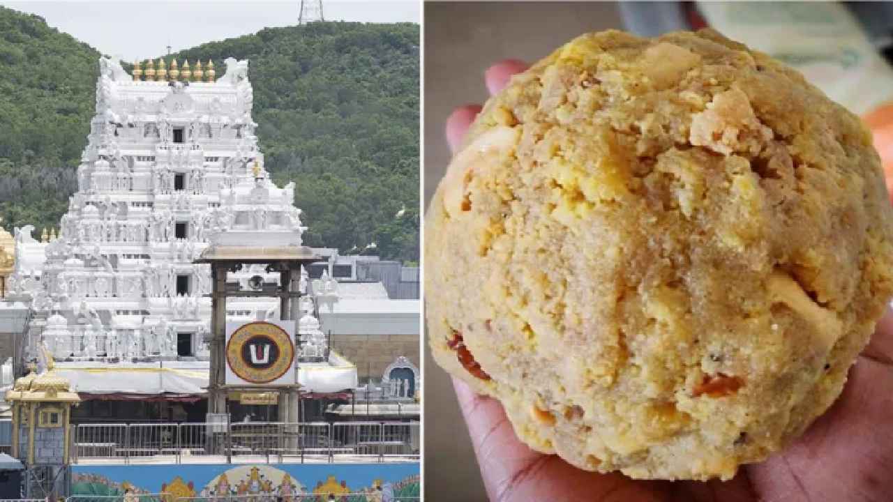 Tirumala Laddu Case: తిరుమల కల్తీ నెయ్యి కేసులో బిగ్ టర్న్.. తొలి రాజకీయ అరెస్ట్.. నెక్స్ట్ ఏం జరగబోతోంది? Tirumala Laddu Case: తిరుమల కల్తీ నెయ్యి కేసులో బిగ్ టర్న్.. తొలి రాజకీయ అరెస్ట్.. నెక్స్ట్ ఏం జరగబోతోంది?