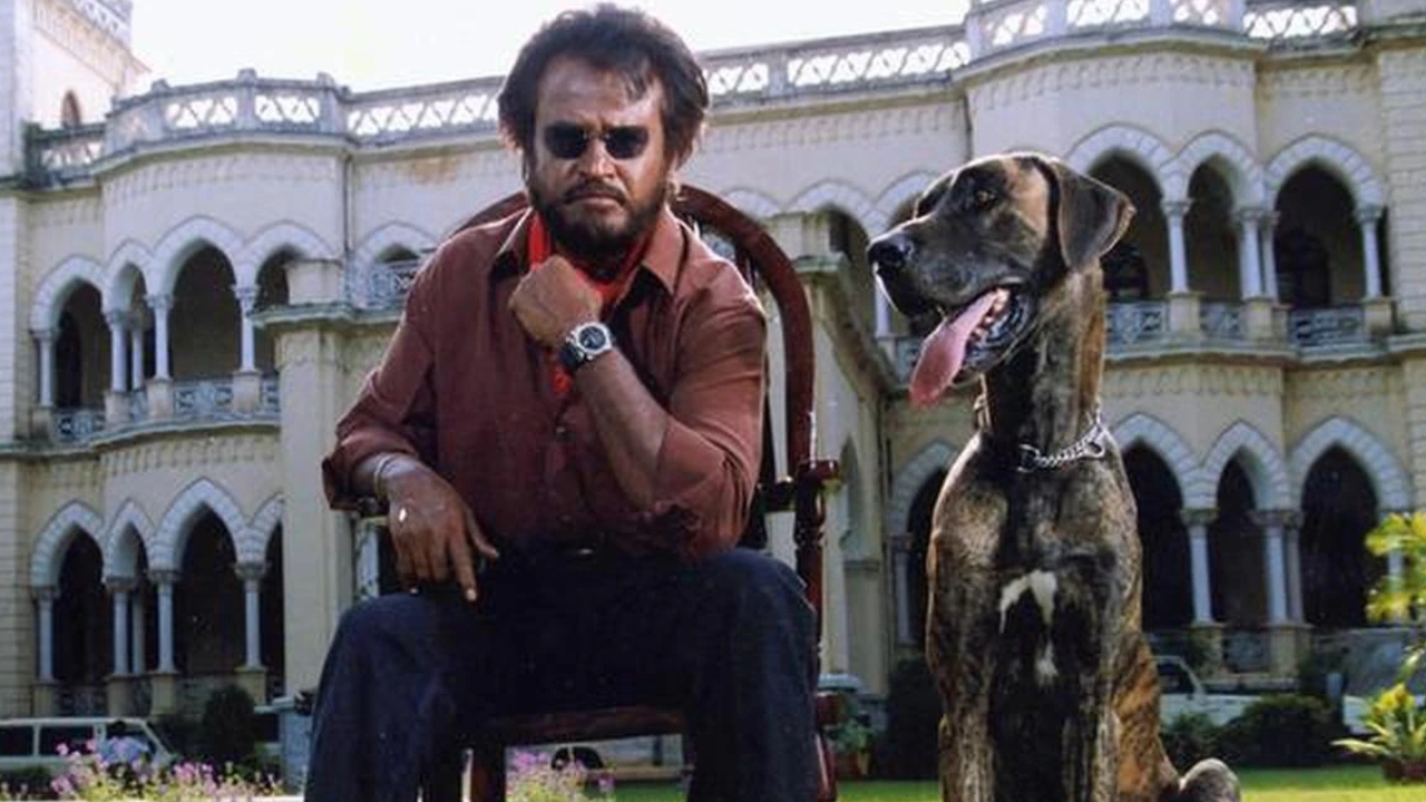 Baasha : 21 లక్షలు పెట్టి తెలుగు రైట్స్ కొంటే.. బాషా ఎన్ని కోట్లు కలెక్ట్ చేసిందో తెలుసా? Baasha : 21 లక్షలు పెట్టి తెలుగు రైట్స్ కొంటే.. బాషా ఎన్ని కోట్లు కలెక్ట్ చేసిందో తెలుసా?