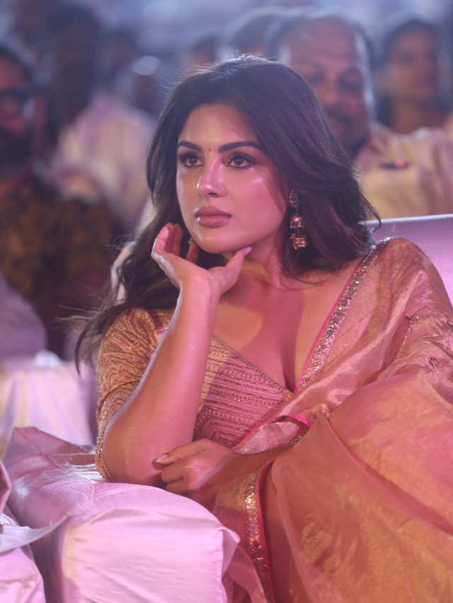 Akhanda 2 Thandavam Pre Release Event