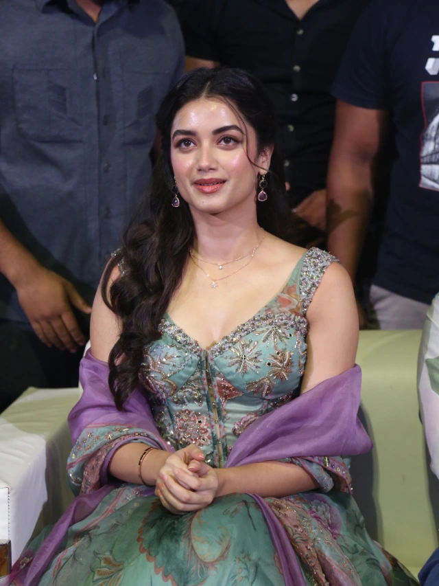 Ram Pothineni Bhagyashri Borse Andhra King Taluka Trailer Launch Event