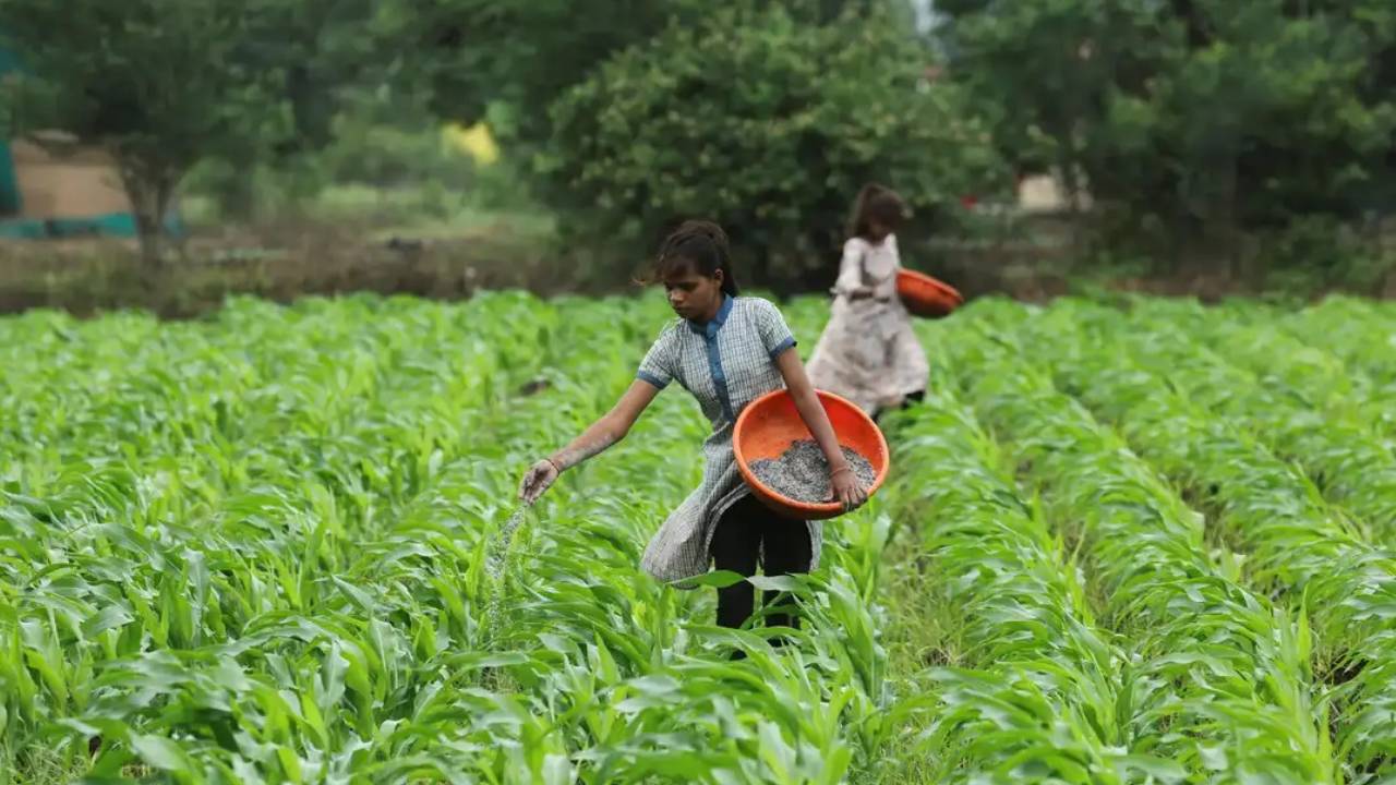 AP Govt : ఏపీలో రైతుల ఖాతాల్లో రూ.7వేలు.. వీరికి మాత్రం డబ్బులు పడవు.. ఎందుకంటే?