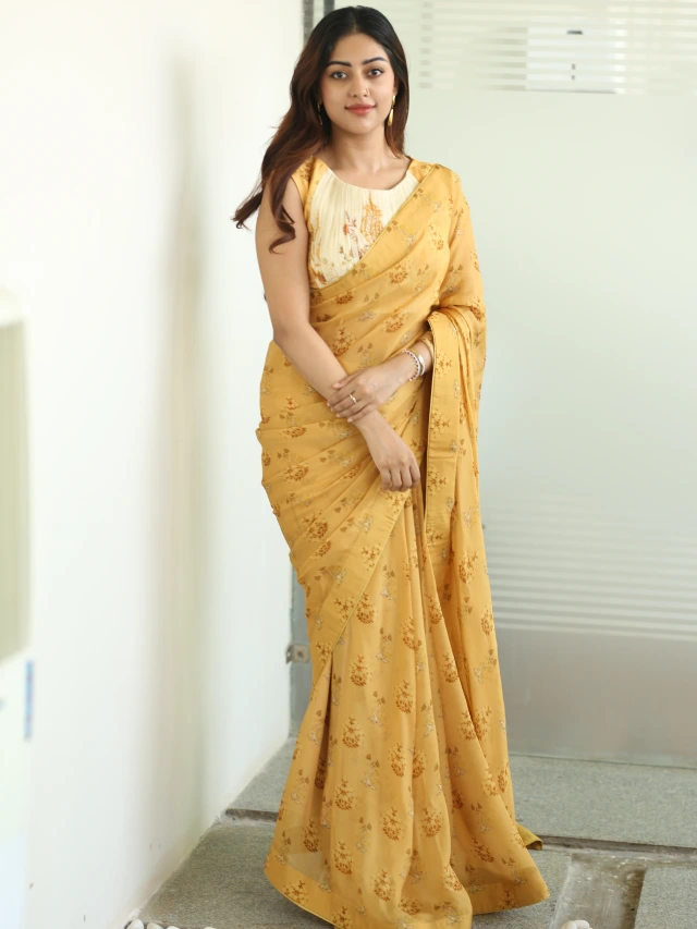 Anu Emmanuel Shines in Saree After The Girlfriend Success