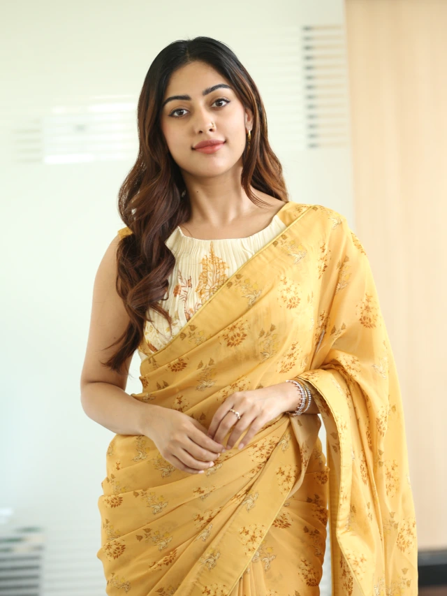 Anu Emmanuel Shines in Saree After The Girlfriend Success