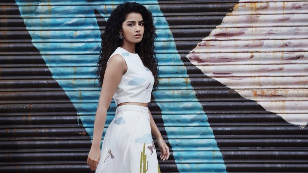 Anupama Parameswaran Gives Complaint on Fake Posts in Social media at Cyber Police