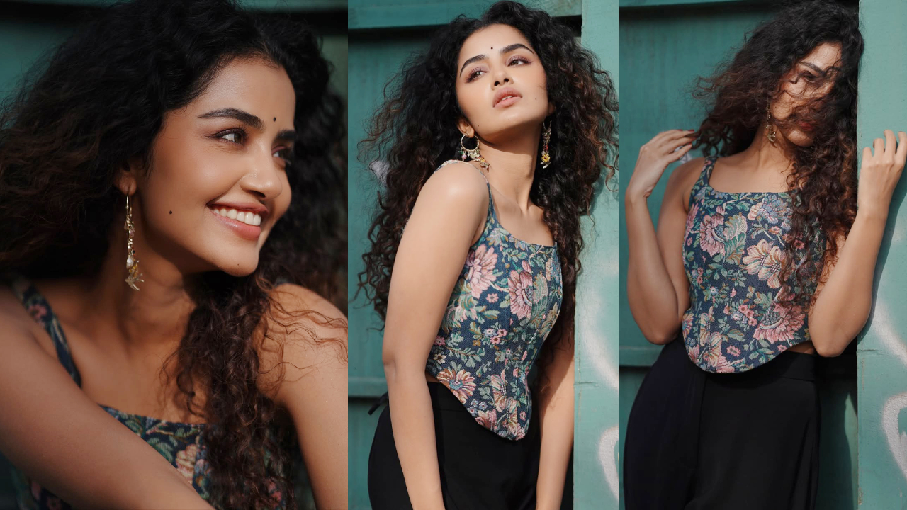 Anupama Parameswaran: వయ్యారి భామ అనుపమ.. ఇంత అందం ఏంటమ్మా.. ఫోటోలు