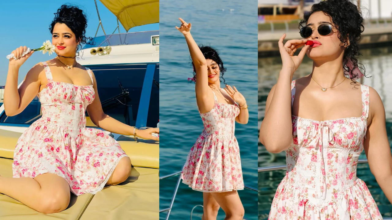 Apsara Rani: మినీ స్కర్ట్ లో అప్సరా రాణి.. అందాలు చూస్తే మతి పోవాల్సిందే.. ఫొటోలు