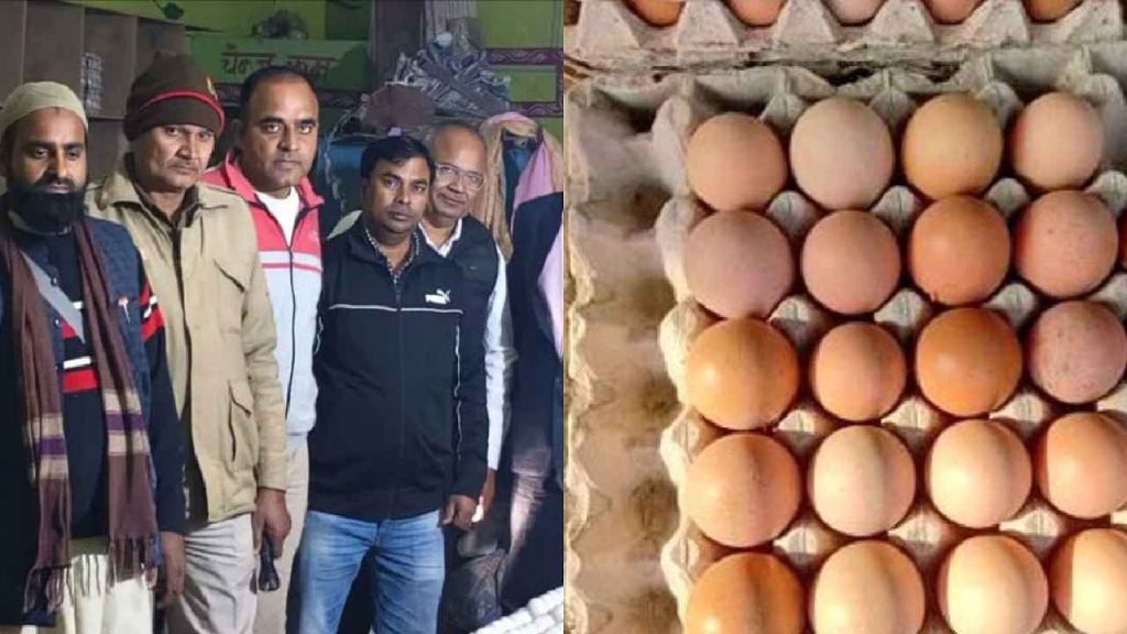 Artificially Coloured Eggs