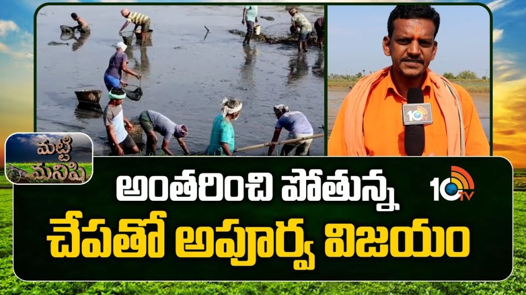 Huge Earnings With Anguilla Fish Farming