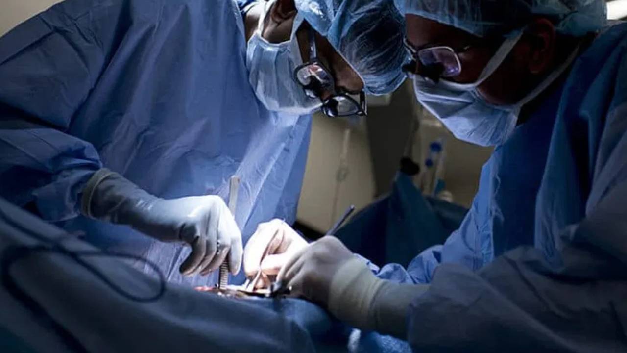 Madanapalle Kidney Racket : మదనపల్లి కిడ్నీ రాకెట్ ఉదంతంలో సంచలన విషయాలు.. పిక్నిక్ అని తీసుకెళ్లి.. చంపేశారు..