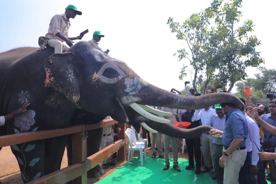 Pawan Kalyan Visitis Kumki Elephants