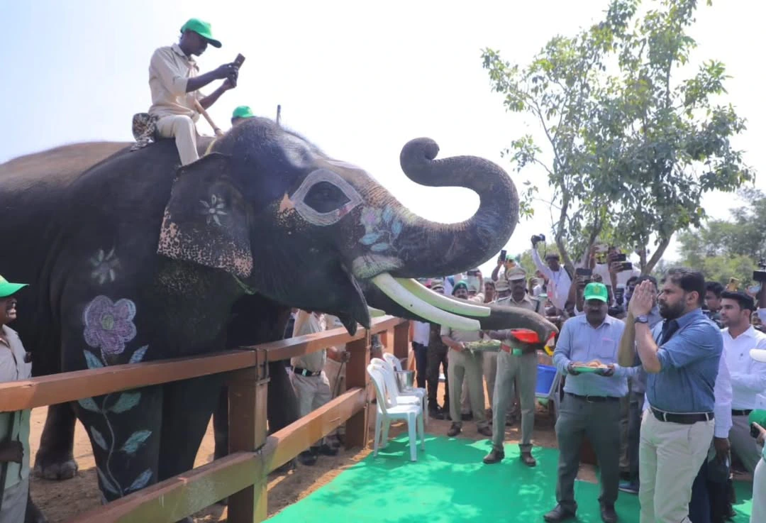 Pawan Kalyan Visitis Kumki Elephants