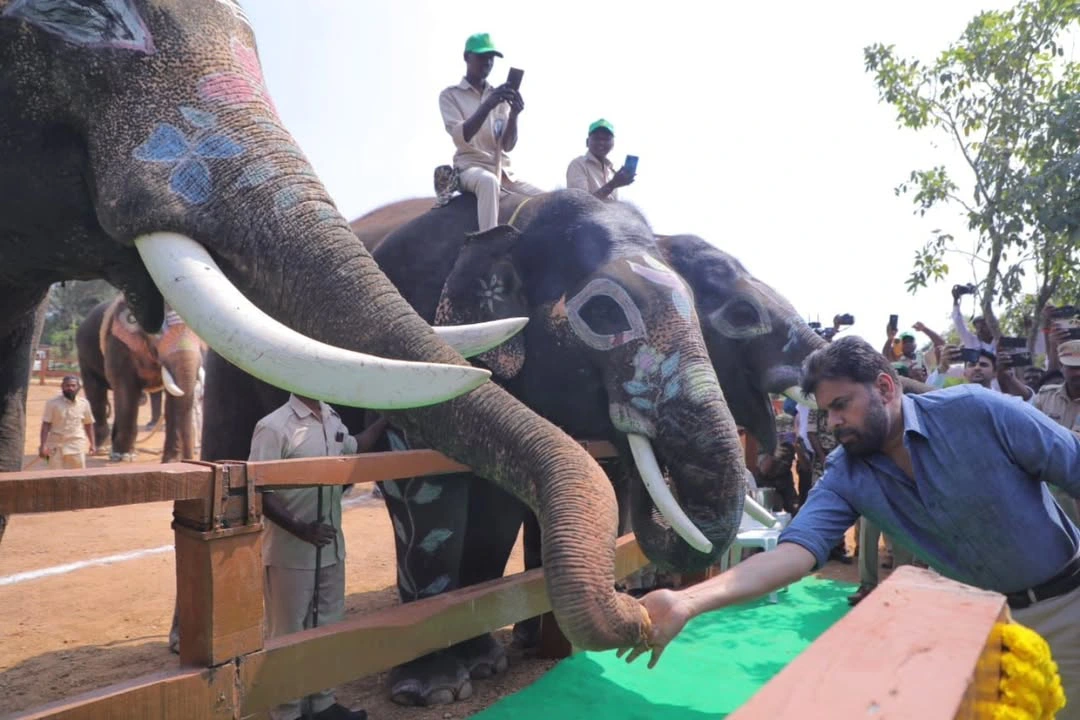 Pawan Kalyan Visitis Kumki Elephants