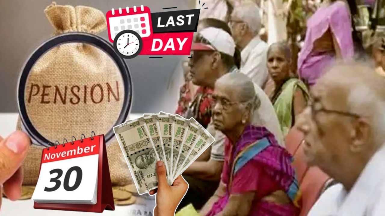 Pension Deadlines : పెన్షనర్లకు బిగ్ అలర్ట్.. ‘లైఫ్ సర్టిఫికేట్’కు రేపే లాస్ట్ డేట్.. అర్జెంట్‌గా ఇలా చేయండి.. పెన్షన్ ఆపేస్తారు జాగ్రత్త!