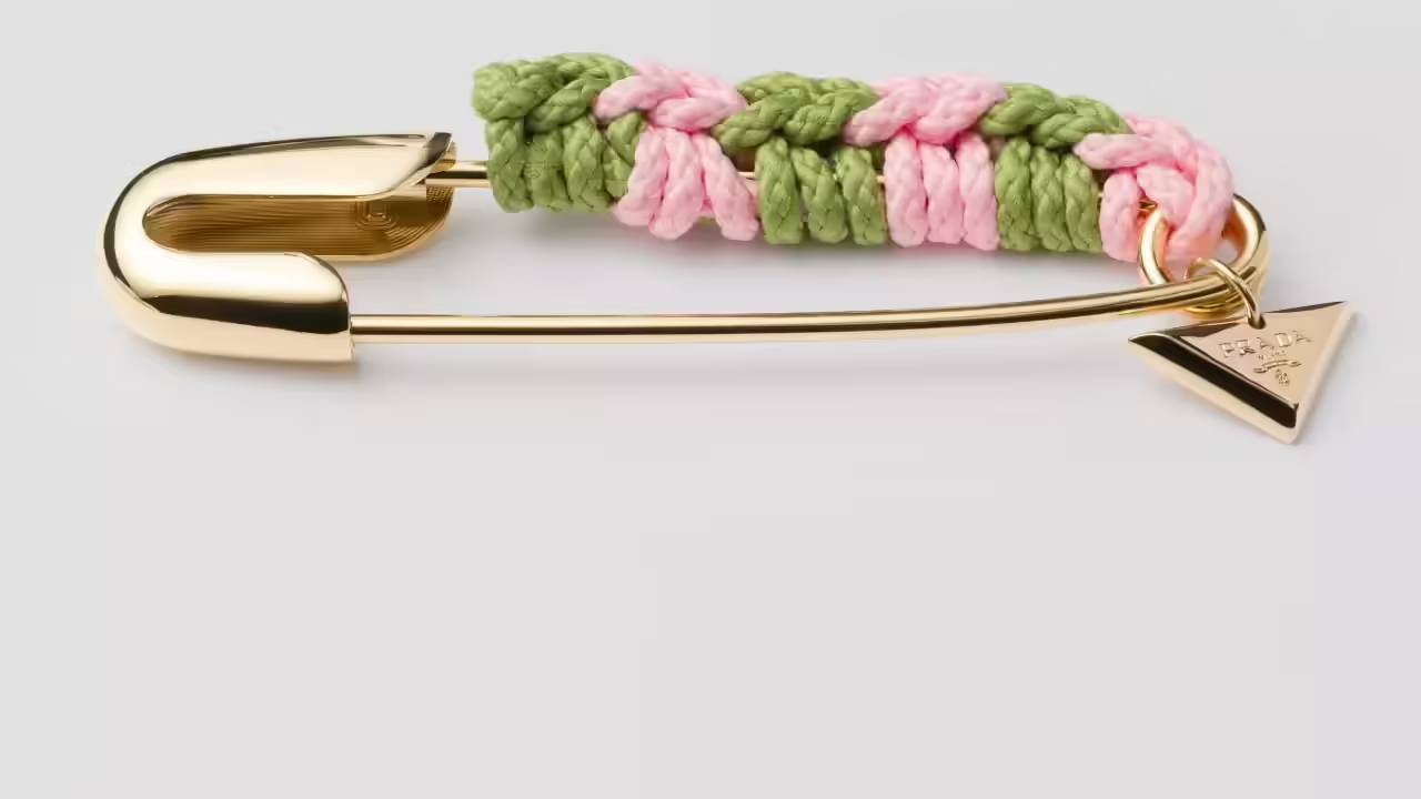 పిన్నీసును లగ్జరీ వస్తువుగా మార్చేసిన కంపెనీ.. ఎవరైనా రూ.69,000 పెట్టి కొంటారా? ఇలా ఉంటే కొనక ఏం చేస్తారు?