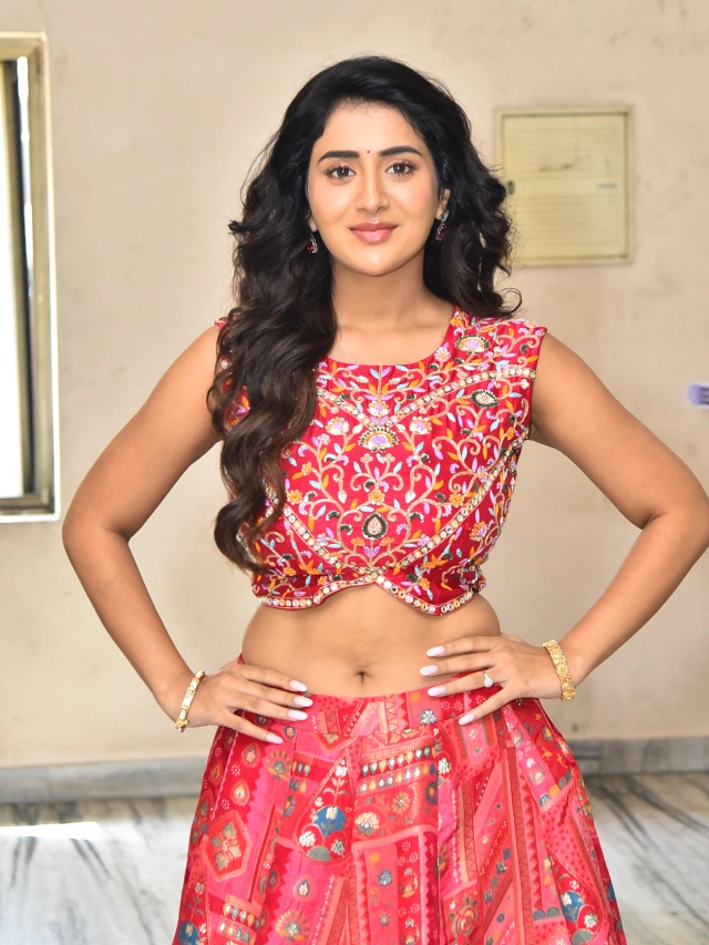 Rashi Singh Ravishing Looks in Long Skirt