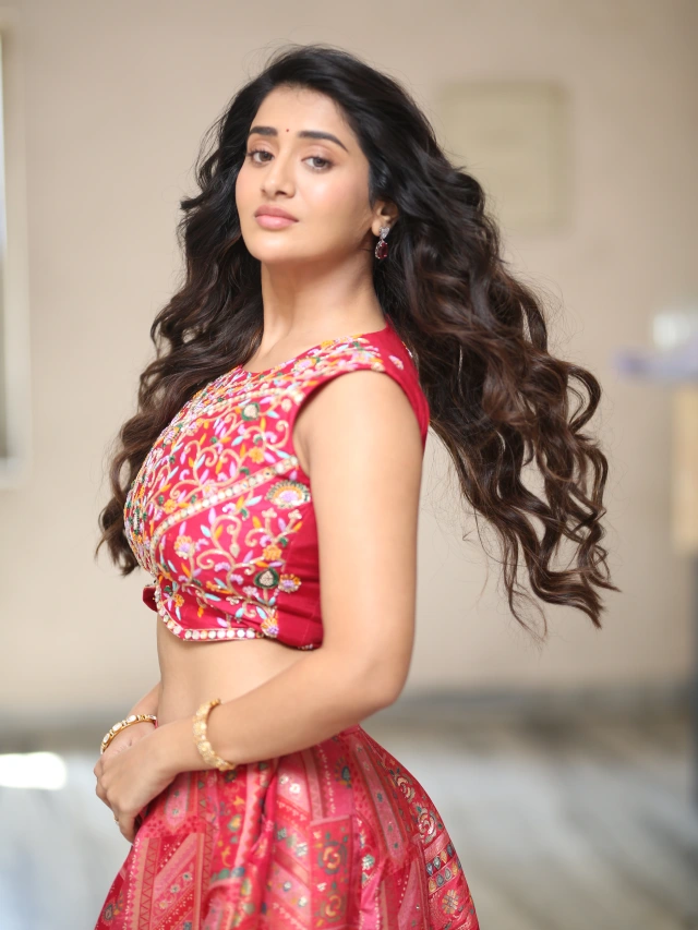 Rashi Singh Ravishing Looks in Long Skirt