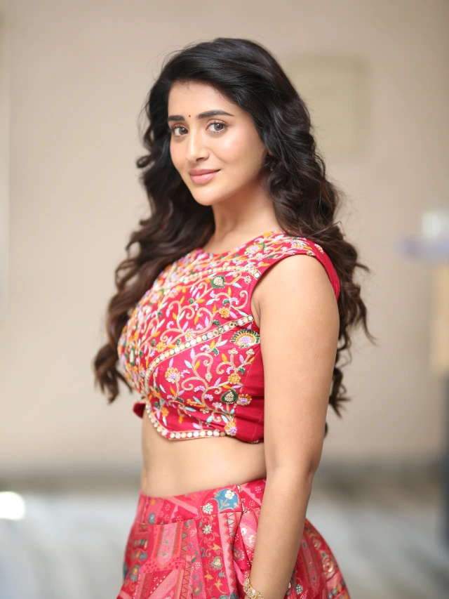 Rashi Singh Ravishing Looks in Long Skirt