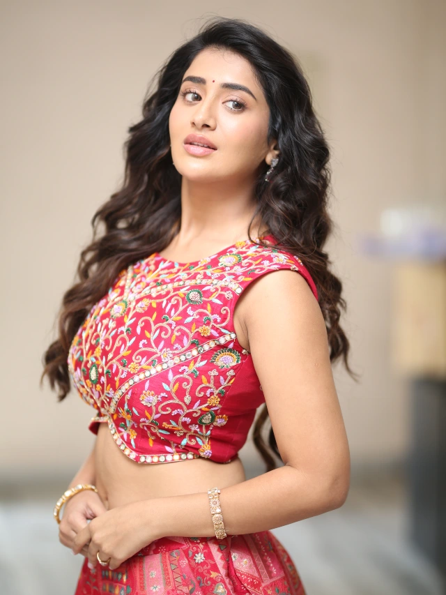 Rashi Singh Ravishing Looks in Long Skirt