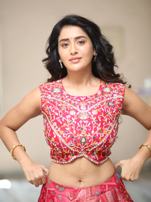 Rashi Singh Ravishing Looks in Long Skirt