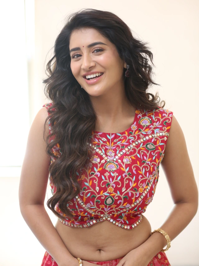 Rashi Singh Ravishing Looks in Long Skirt