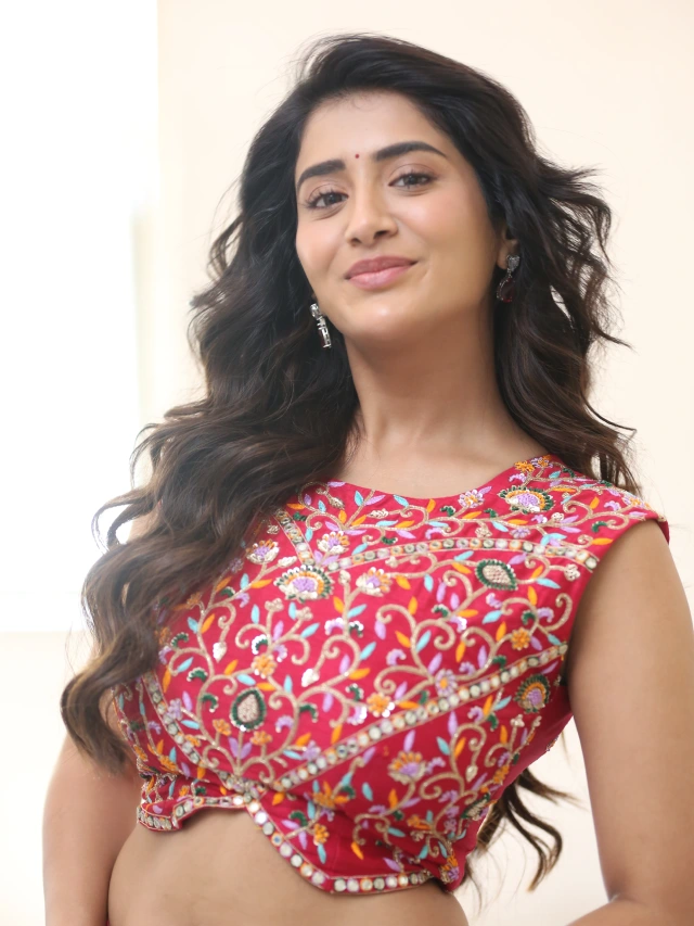 Rashi Singh Ravishing Looks in Long Skirt