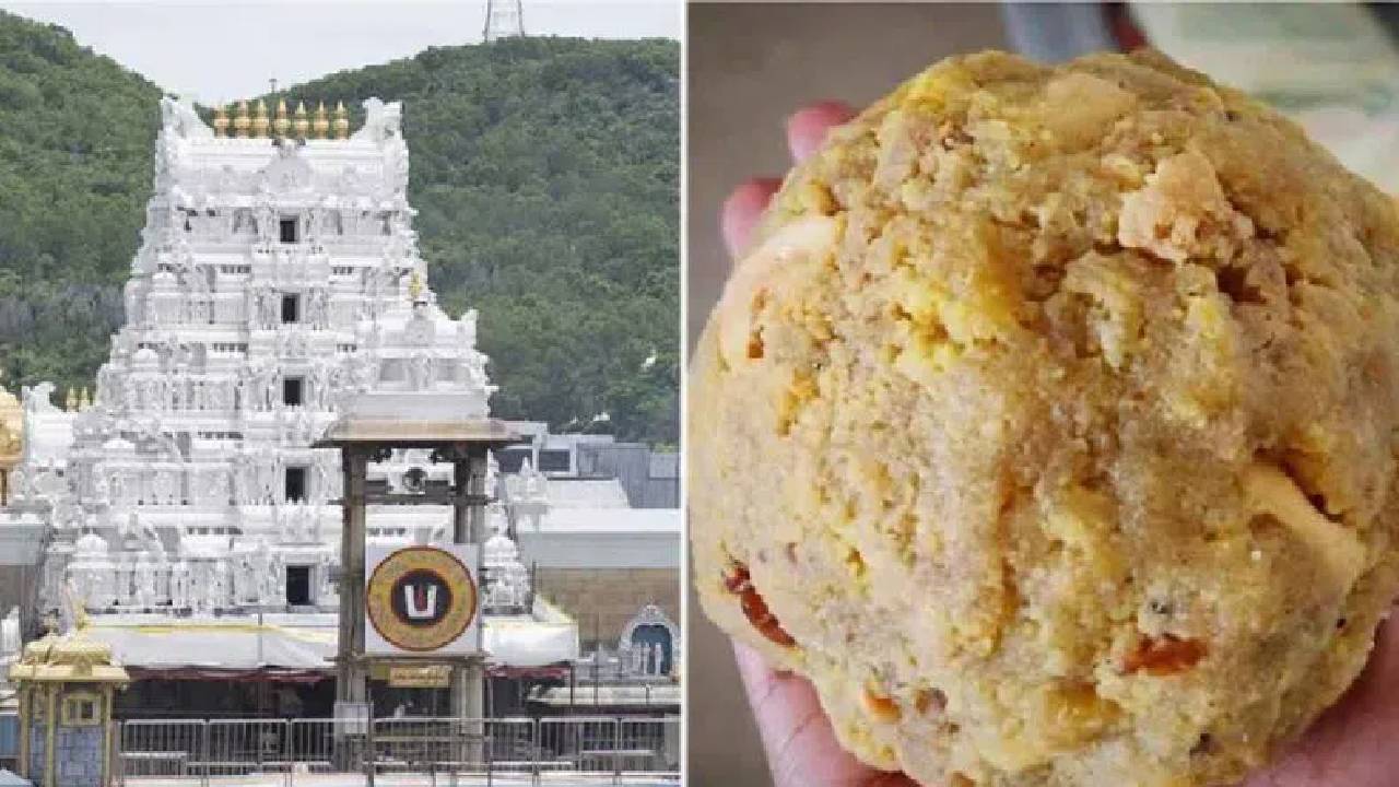 తిరుమల కల్తీ నెయ్యి కేసులో అప్డేట్స్‌ మీద అప్డేట్స్.. ఈ ఆధారాలతో ఇరికిపోయేదెవరు?