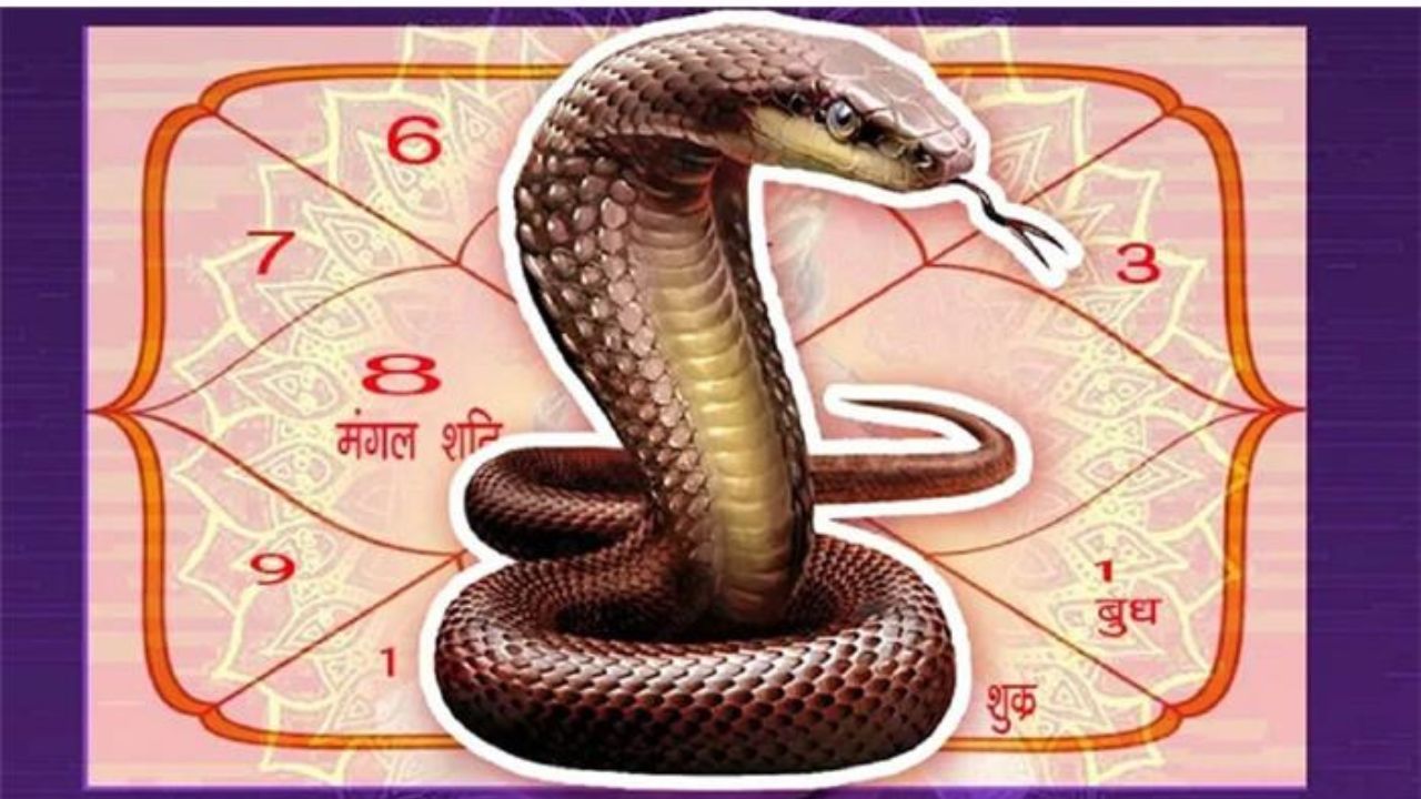 నాగారాధన రహస్యము.. మీరు పాపాలు చేశారా? అన్నీ పోయి మీ జేబుల్లో డబ్బులు నిండాలంటే ఇలా చేయండి..