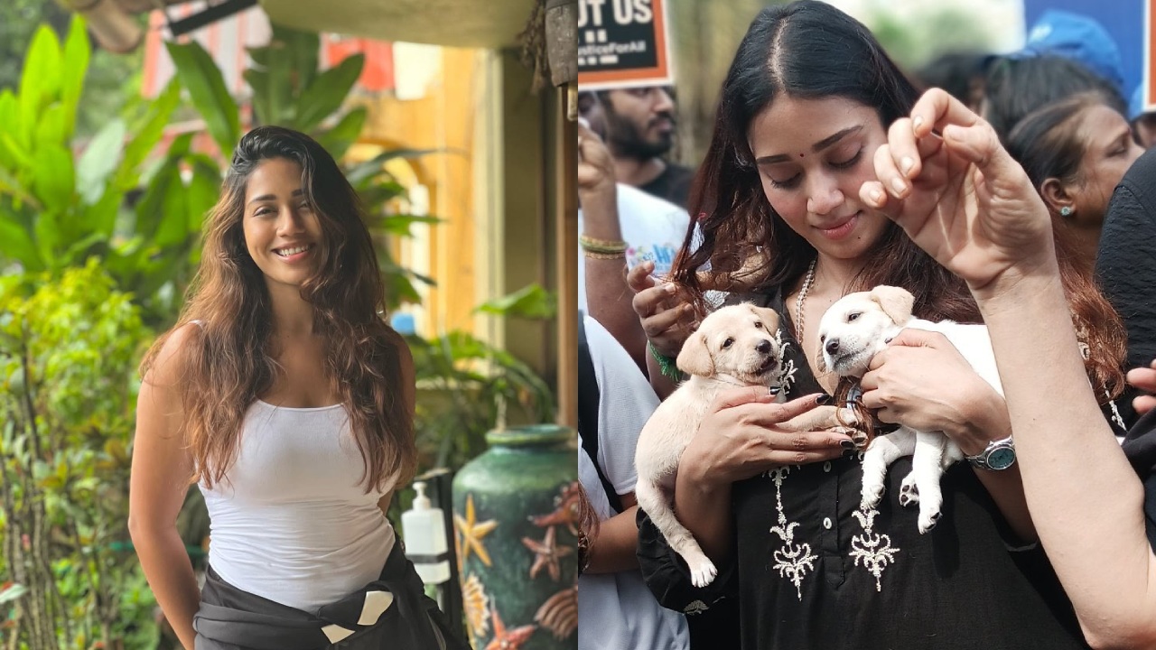 Nivetha Pethuraj : కుక్క కరిస్తే పెద్ద విషయం కాదట.. హీరోయిన్ వ్యాఖ్యలు వైరల్.. భగ్గుమన్న నెటిజన్లు..