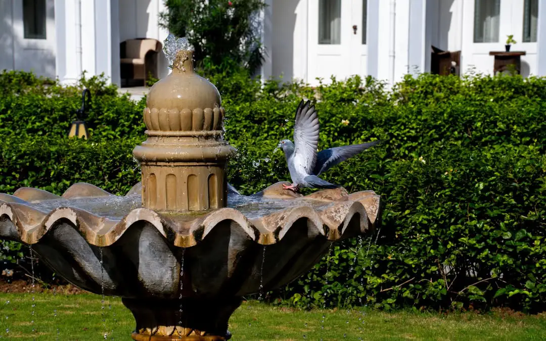 మొట్ట మొదటి రాష్ట్రపతి డాక్టర్ రాజేంద్రప్రసాద్ 1951లో ప్యాలెస్ ను సందర్శించారు.