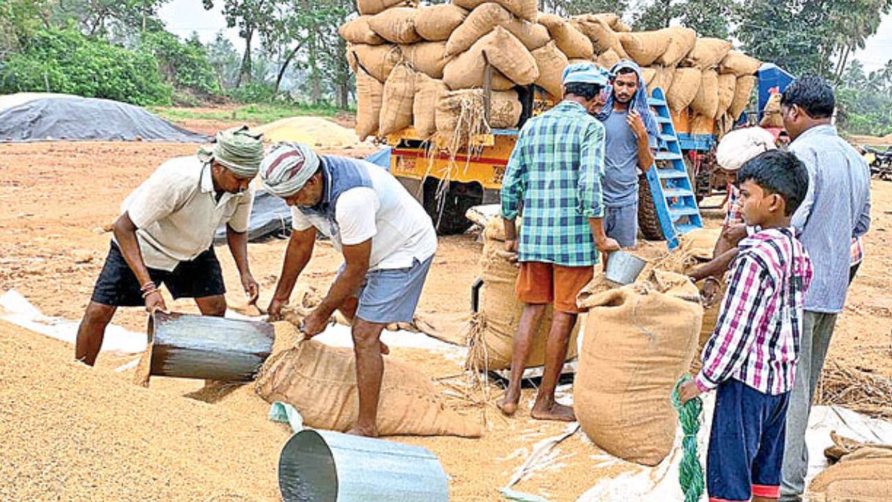 AP Govt : ఏపీలోని రైతులకు బిగ్ అలర్ట్.. ధాన్యం కొనుగోలులో సమస్యలా..? వెంటనే ఈ ట్రోల్ ఫ్రీ నెంబర్‌కు ఫోన్ చేయండి..