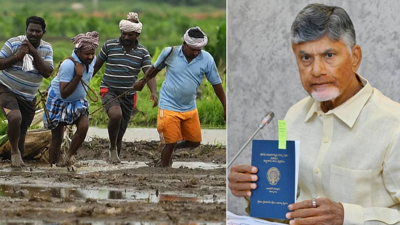AP Government : ఏపీలోని రైతులకు శుభవార్త.. కూటమి ప్రభుత్వం బిగ్ డెసిషన్.. ఉచిత పంపిణీ