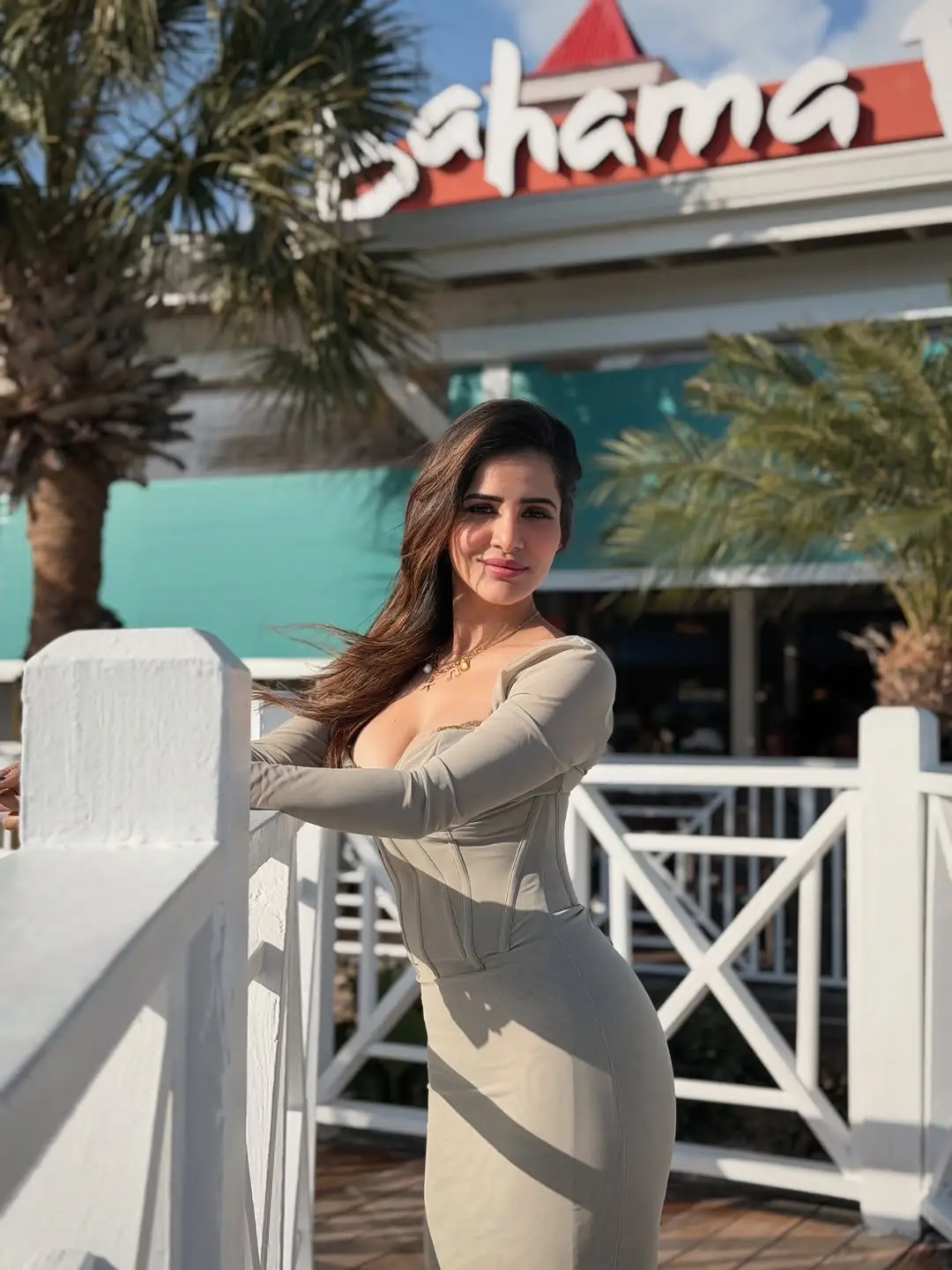 Ashu Reddy beauty show in deep neck (1)