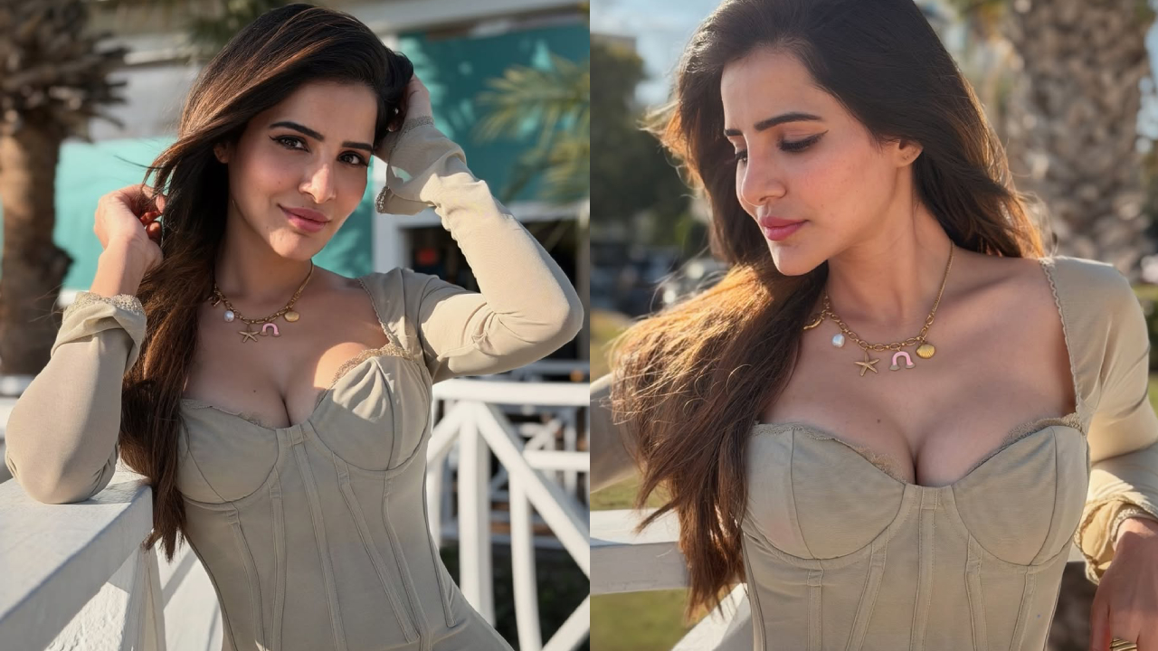 Ashu Reddy: గ్లామర్ డోస్ పెంచిన ఆషు రెడ్డి.. ఎద అందాలు చూస్తే మతిపోవాల్సిందే.. ఫొటోలు