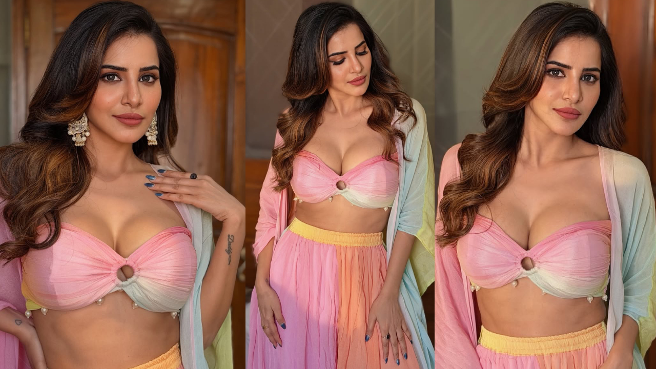 Ashu Reddy: హాట్ హాట్ అందాలతో మైండ్ బ్లాక్ చేస్తున్న ఆషు.. ఫొటోలు