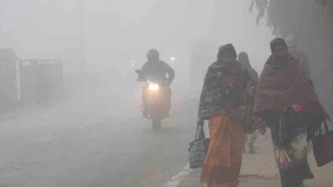 Cold Waves : విపరీతమైన చలితో వణికిపోతున్నారా.. అయితే, మీకు భారీ ఊరట.. జనవరి 1 నుంచి కోల్డ్‌వేవ్‌కు బైబై..