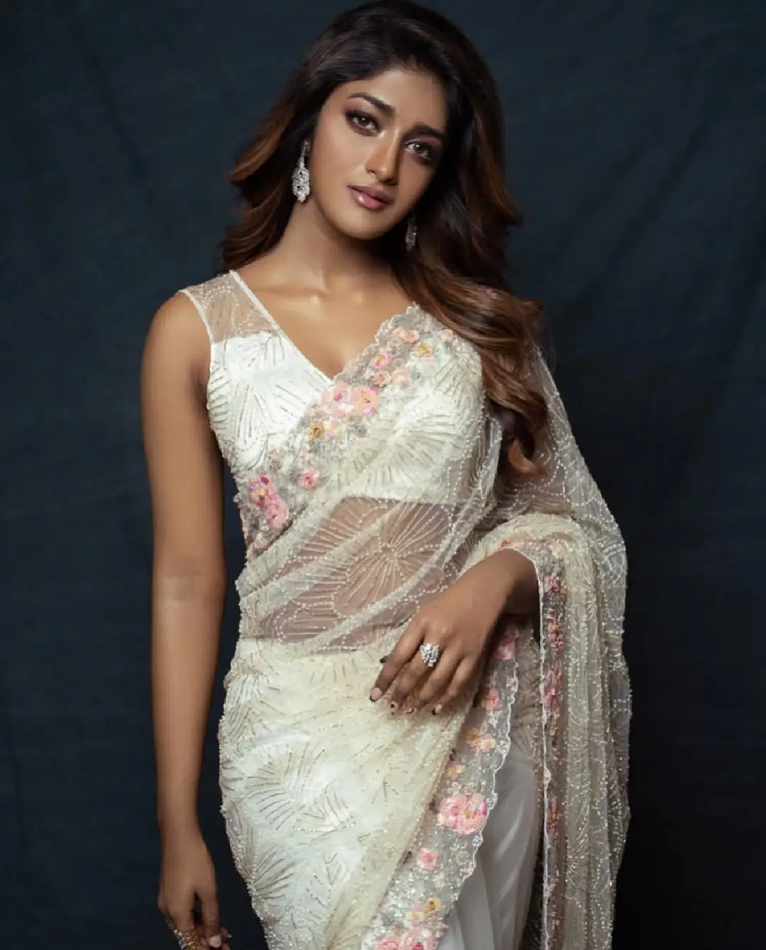 Dimple Hayathi latest saree photos (1)