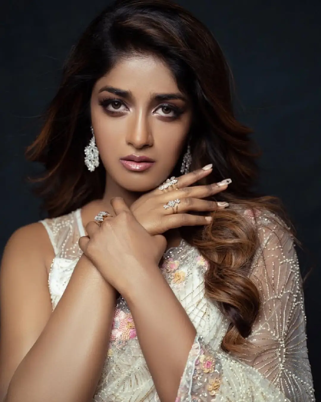 Dimple Hayathi latest saree photos (1)