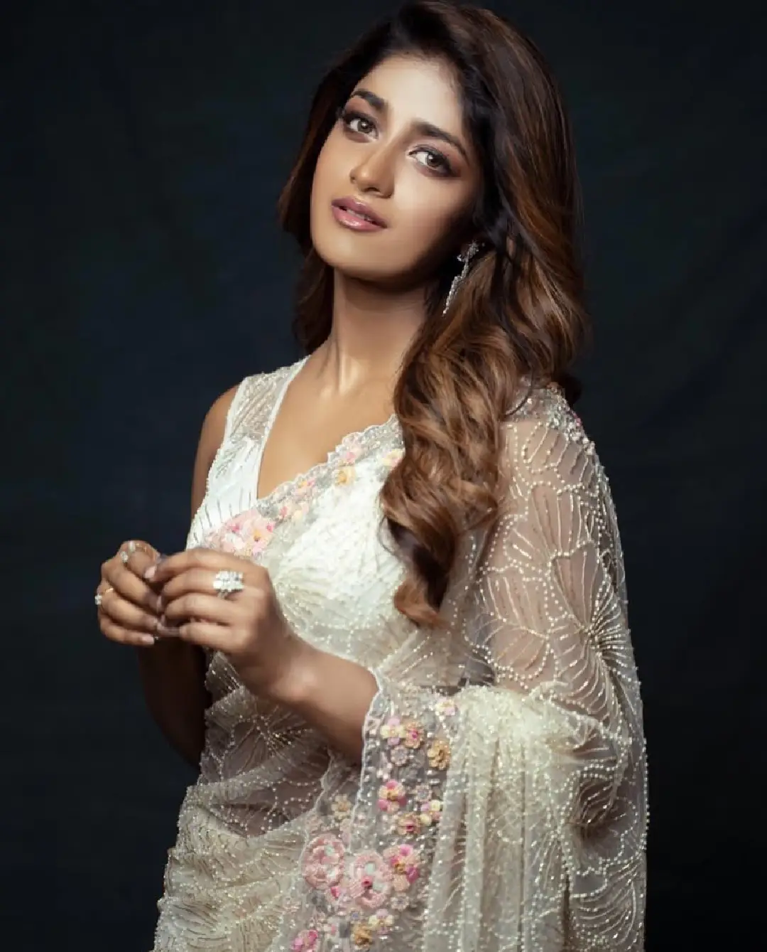 Dimple Hayathi latest saree photos (1)