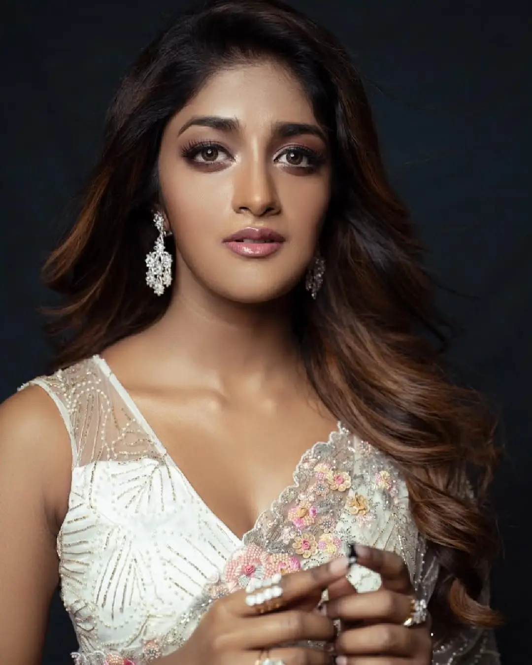 Dimple Hayathi latest saree photos (1)