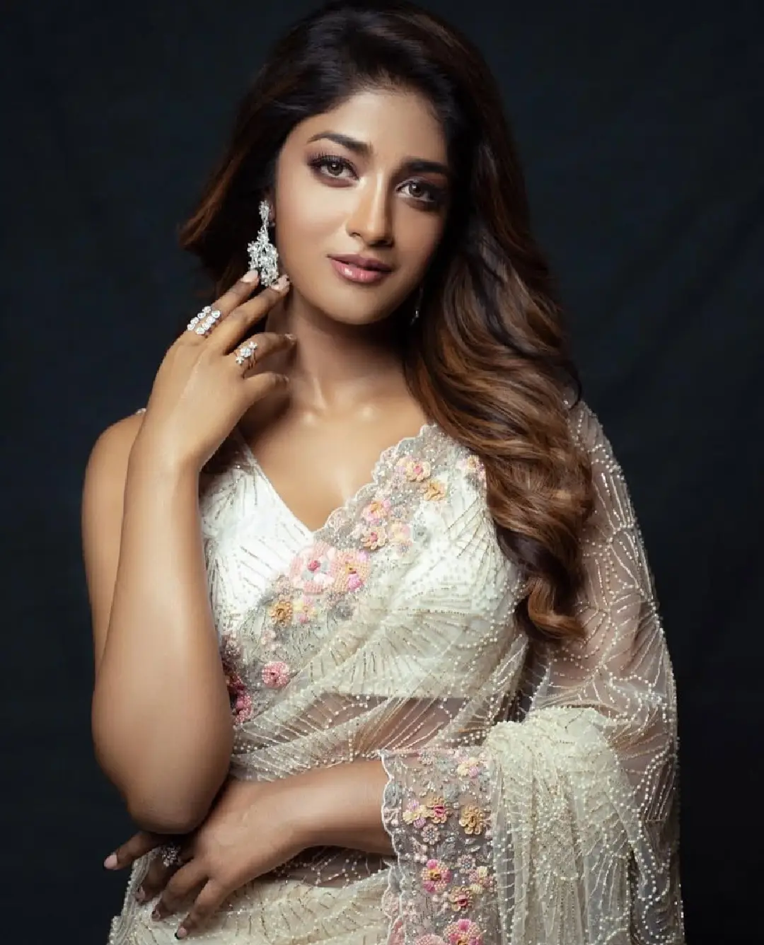 Dimple Hayathi latest saree photos (1)