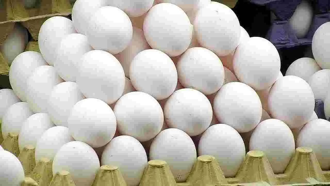 Egg Price Hike : గుడ్డు ప్రియులకు బిగ్‌షాక్.. పౌల్ట్రీ ఇండస్ట్రీ చరిత్రలోనే తొలిసారి.. ఆల్ టైం రికార్డుకు కోడి గుడ్ల ధరలు.. నాటు కోడి గుడ్డు ధరెంతో తెలుసా?