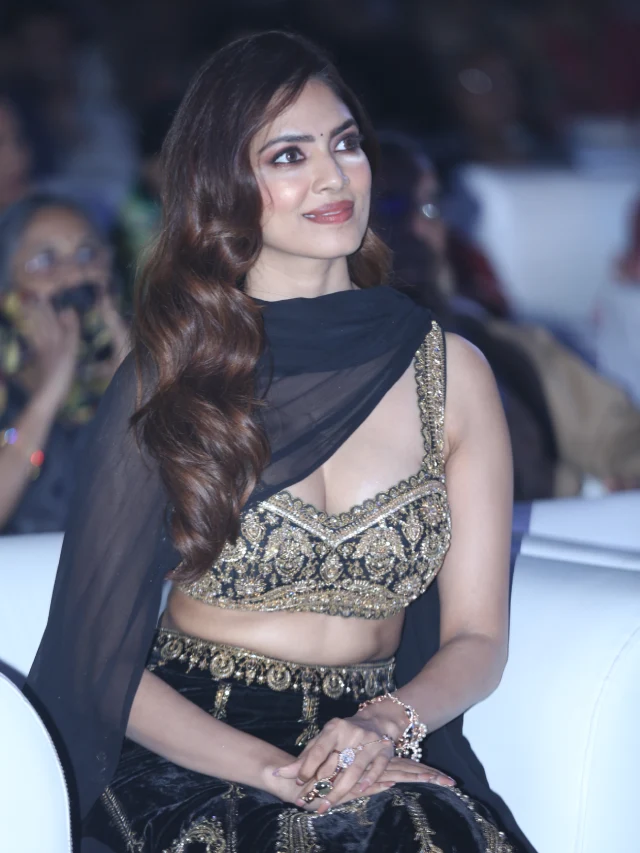 Prabhas Rajasaab Pre Release Event