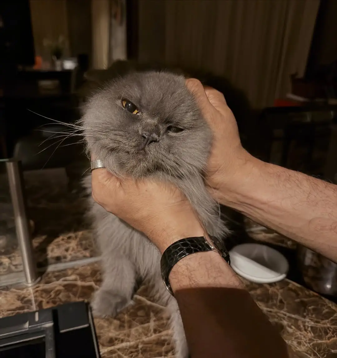 Star beauty Samantha shared special photos for 2025. (1)