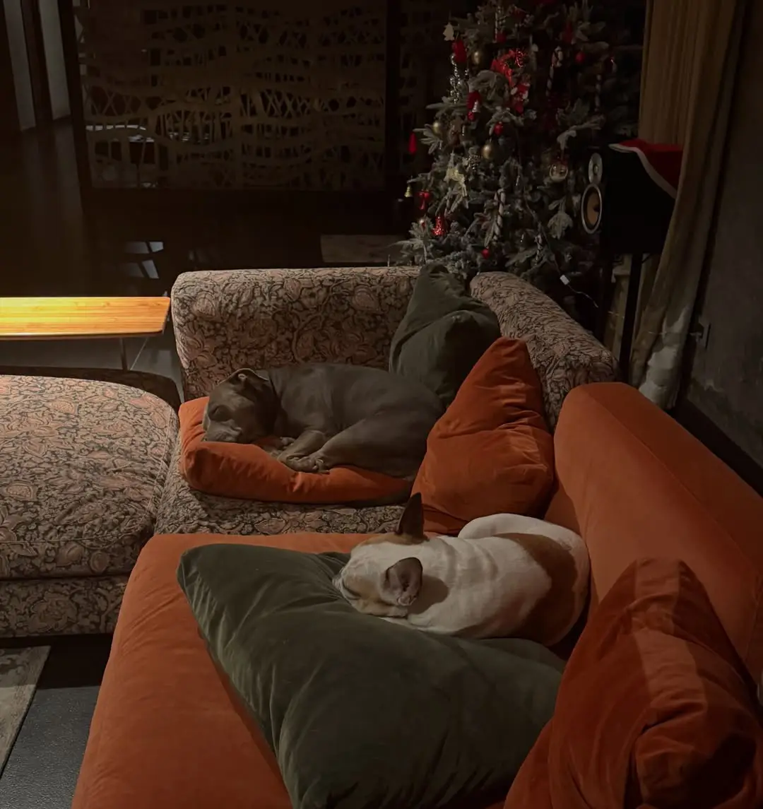 Star beauty Samantha shared special photos for 2025. (1)